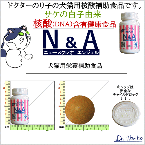 N&A300 地天泰 ニュー ヌクレオエンジェル 300粒 ドクターのり子 