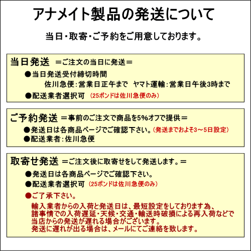 ニューヌクレオエンジェル 300粒×2本 ドクターのり子 犬猫用核酸 