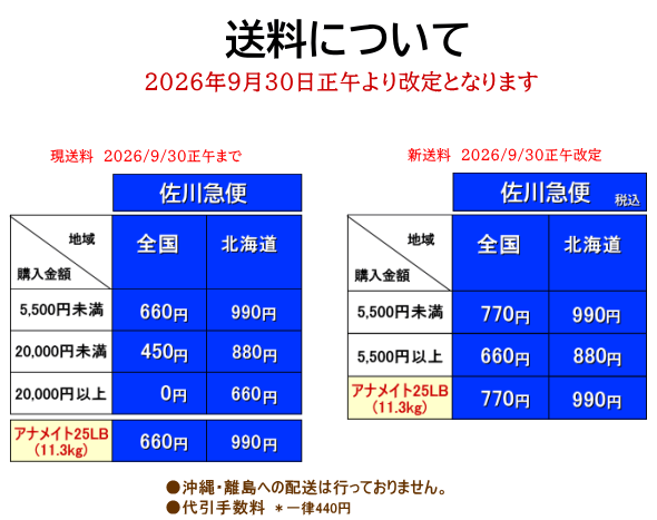 犬柄 Tシャツ トイプードル柄 名入れ 半袖 プレゼント レディース