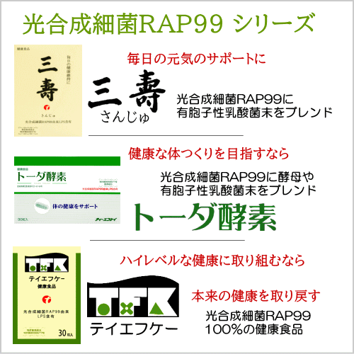 TFK テイエフケー 戸田フロンティ酵素30粒 光合成細菌RAP99