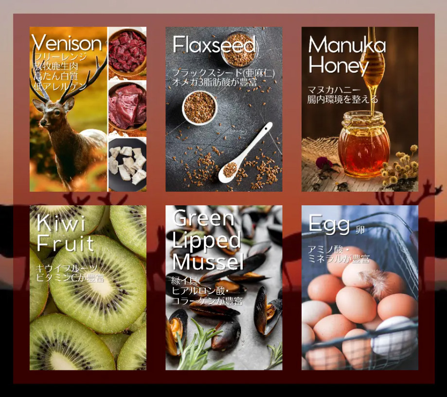 アディクション (ワイルドアイランズ) フォレストミートレシピ (鹿肉