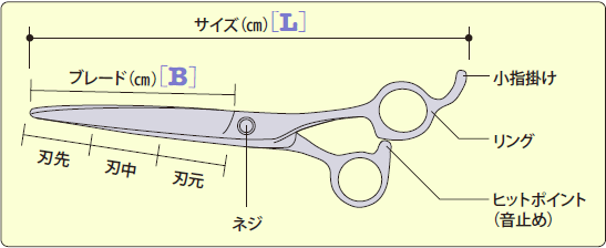 特徴