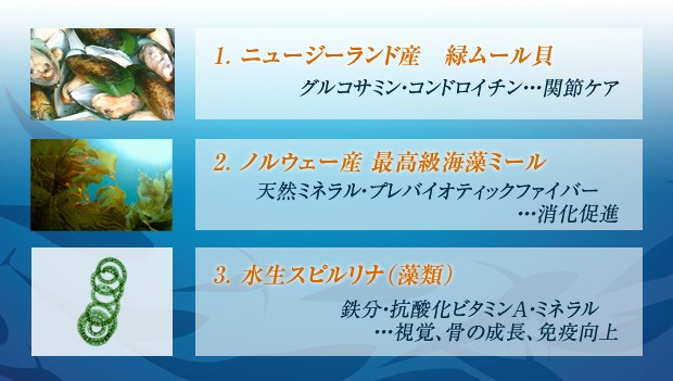 商海洋ナチュラルサプリメント