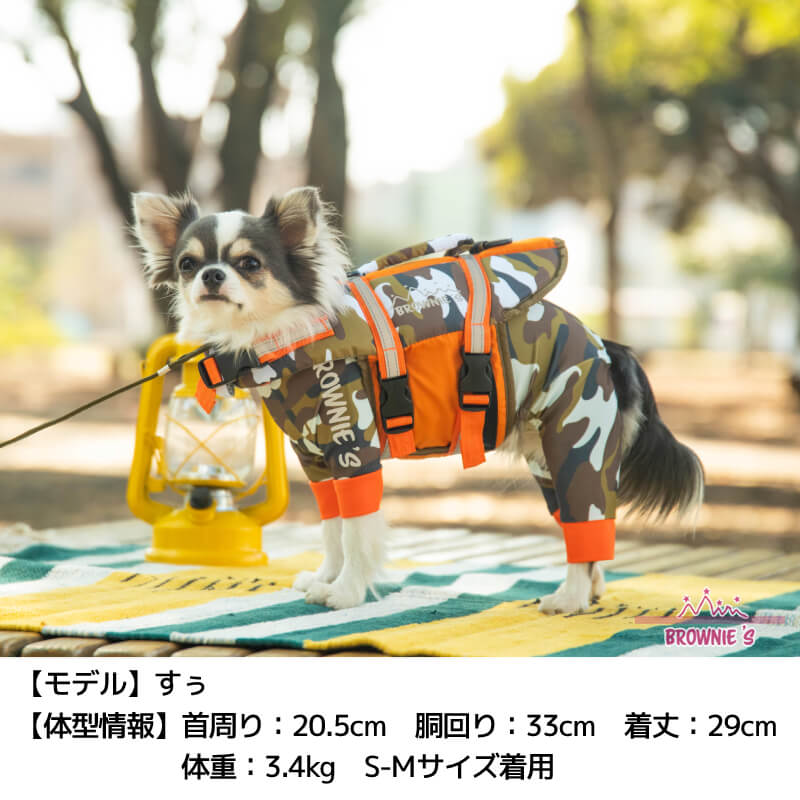 モデル１