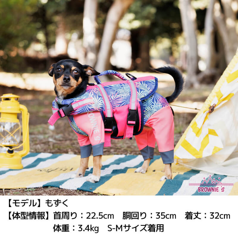 モデル１