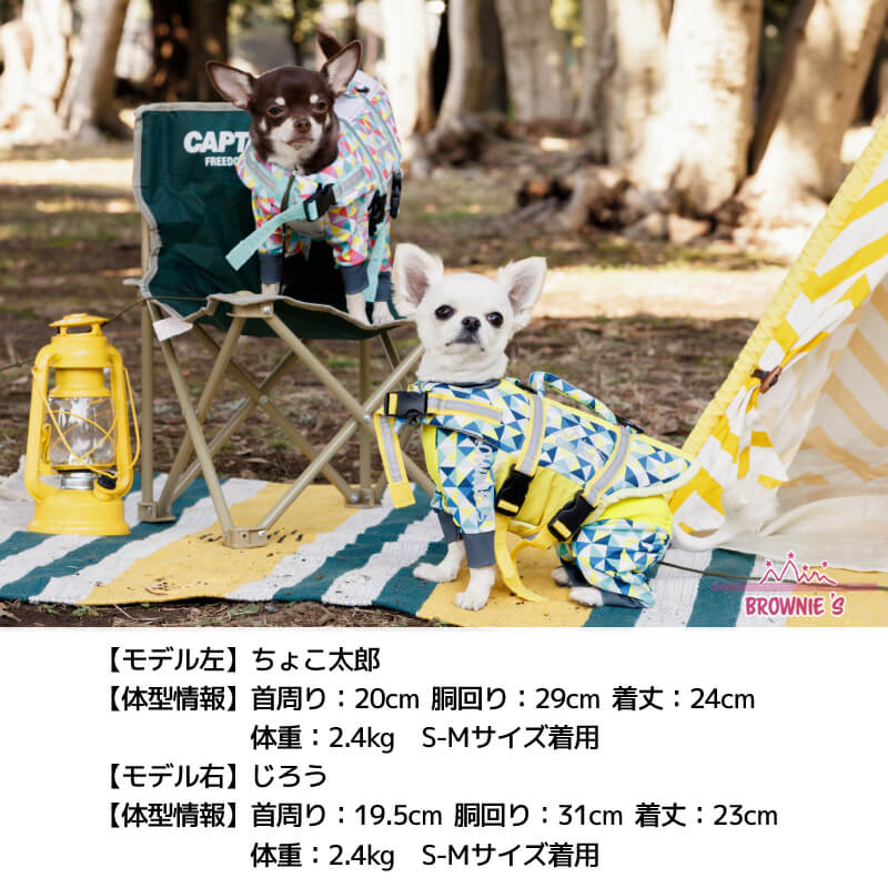 モデル１