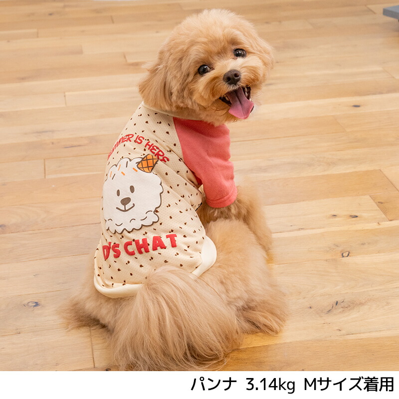 ディーズ君ラグランTシャツ XS/S/M/L/XL/XXL/DXS/DS/DM/DL/FBS/FBM/FBL