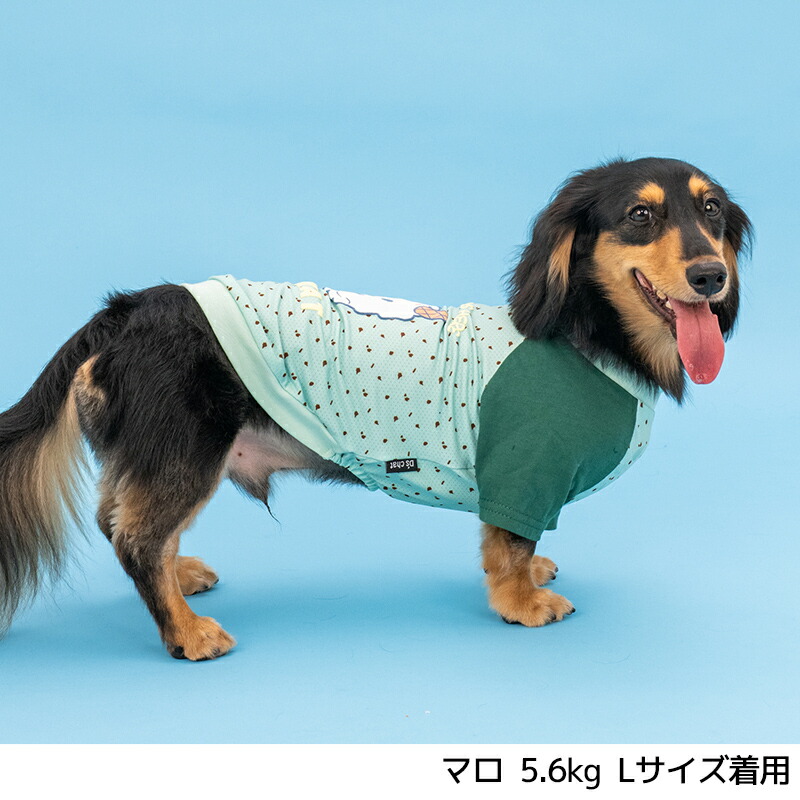 ディーズ君ラグランTシャツ XS/S/M/L/XL/XXL/DXS/DS/DM/DL/FBS/FBM/FBL
