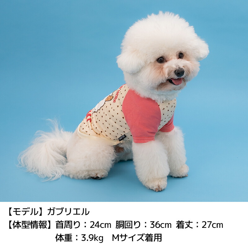 ディーズ君ラグランTシャツ XS/S/M/L/XL/XXL/DXS/DS/DM/DL/FBS/FBM/FBL