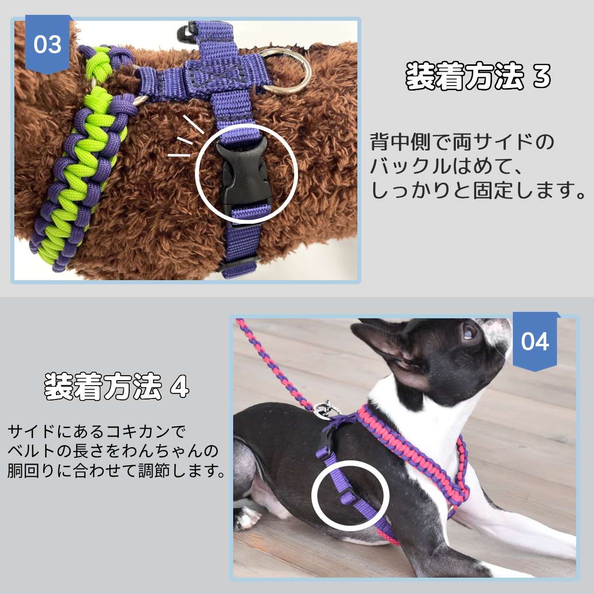 Solgra バイカラーコードハーネス M Solgra-ソルグラ- 犬用