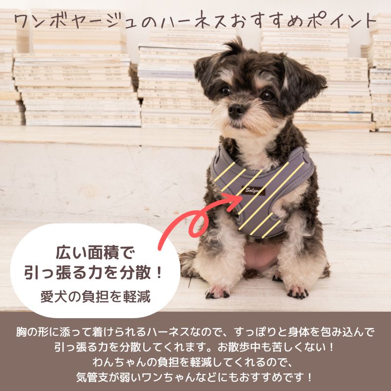 ナチュラルニットハーネス XS/S/M/L Solgra-ソルグラ- 小型犬用 中型犬