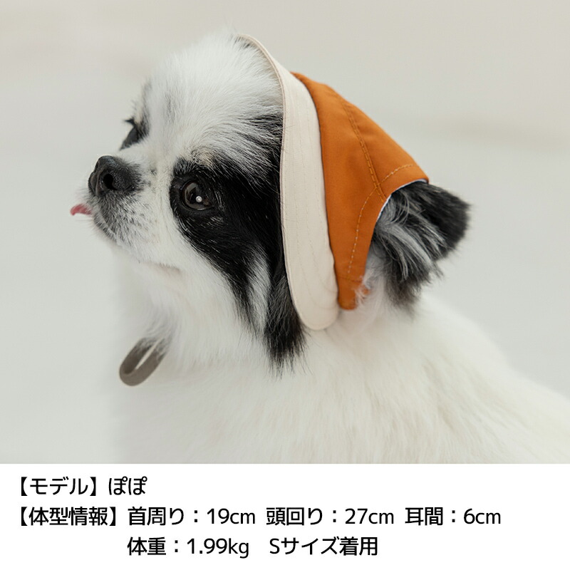 犬用帽子 Solgra 刺しゅう帽子 S/SM/M/L/XL Solgra-ソルグラ- 犬用帽子 暑
