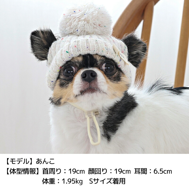 Solgra（ソルグラ） ネップニット帽 S/SM/M/L/XL Solgra-ソルグラ- 犬