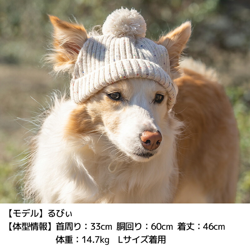 Solgra（ソルグラ） ネップニット帽 S/SM/M/L/XL Solgra-ソルグラ- 犬