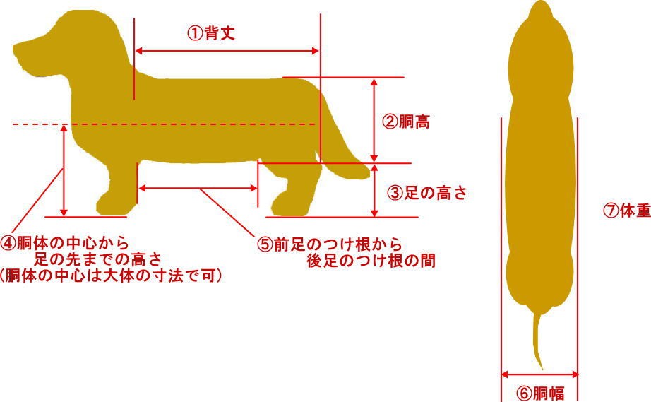 わんワーク 犬用2輪歩行器・車椅子 小型犬用 〜8.5kg以下 : h2s-001-s