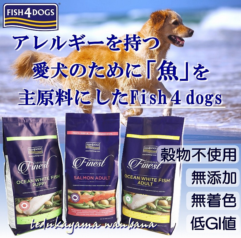 肝臓が高数値と診断されたらどうする 肝臓に負担をかけているものとは Wanbanba健康通信 大阪市住之江区ペットセレクトショップ 帝塚山wanbanaわんちゃん日記 肝臓が高数値と診断されたらどうする 肝臓に負担をかけているものとは Wanbanba健康通信 大阪市住之江区ペットセレクトショップ 帝塚山wanbanaわんちゃん日記