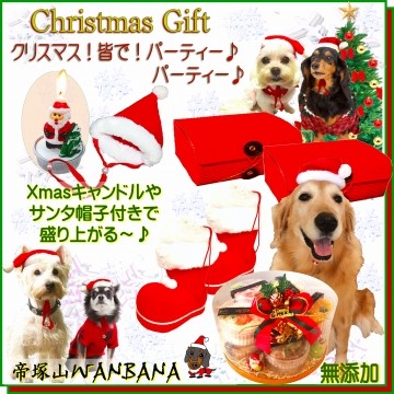 犬猫用ケーキおやつ帝塚山ワンバナ 犬用クリスマス人気ギフトセットプレゼント 犬用猫用クリスマスケーキ ギフト特集 Yahoo ショッピング