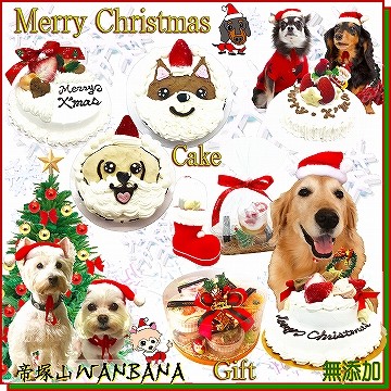 犬猫用ケーキおやつ帝塚山ワンバナ 犬 猫用xmasケーキ ディナー人気ギフト 犬猫用の季節に応じたケーキやごちそう Yahoo ショッピング