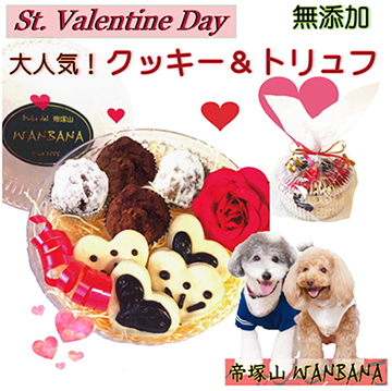 犬,わんちゃん,バレンタイン,マカロン,2023,2月,配る,スイーツ,チョコ,美味しい,人気,映え,ペット,ギフト,贈り物,プレゼント,ワンバナ