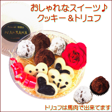 犬,わんちゃん,バレンタイン,マカロン,2023,2月,配る,スイーツ,チョコ,美味しい,人気,映え,ペット,ギフト,贈り物,プレゼント,ワンバナ