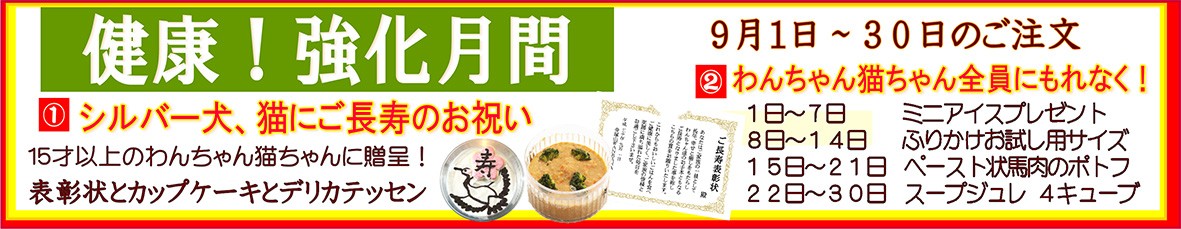 犬,犬用,イベント,ごはん,ご長寿、シニア,お祝い、プレゼント,おまけ、敬老の日、シルバー、無添加,