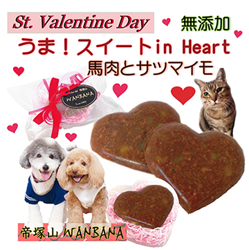 犬,わんちゃん,バレンタイン,マカロン,2023,2月,配る,スイーツ,チョコ,美味しい,人気,映え,ペット,ギフト,贈り物,プレゼント,ワンバナ