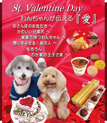 犬猫用ケーキおやつ帝塚山ワンバナ バレンタインデーギフト 犬猫用 Yahoo ショッピング