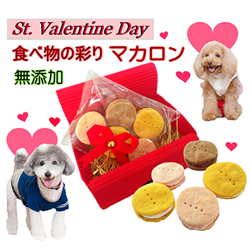 犬,わんちゃん,バレンタイン,マカロン,2023,2月,配る,スイーツ,チョコ,美味しい,人気,映え,ペット,ギフト,贈り物,プレゼント,ワンバナ