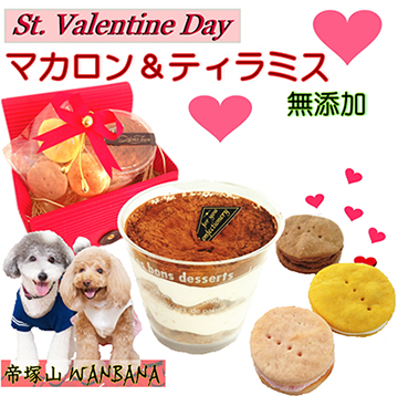 犬,わんちゃん,バレンタイン,マカロン,2024,2月,配る,スイーツ,チョコ,美味しい,人気,映え,ペット,ギフト,贈り物,プレゼント,ワンバナ