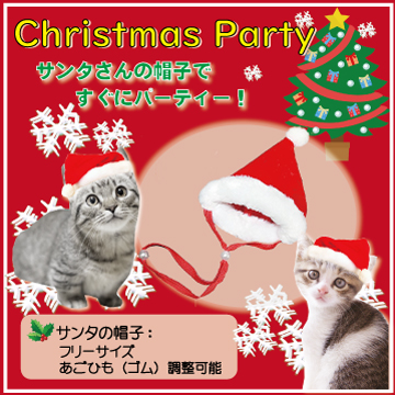 あすつく 猫用 クリスマスケーキ＆サンタブーツセット/ニャン