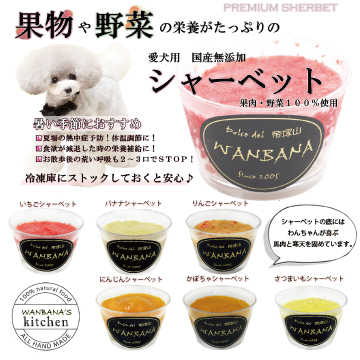 帝塚山WANBANA あすつく!犬用アイス ひんやり冷え冷え！野菜と