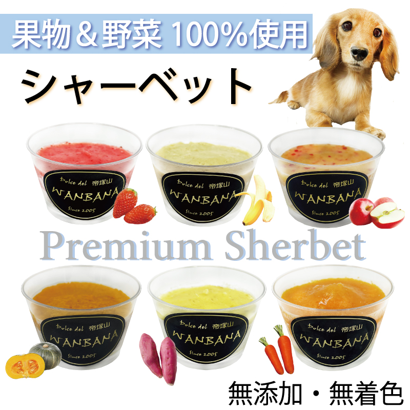 犬 無添加 おやつ 納豆40g 国産大豆100％使用 腸内環境 軟便に 腸活