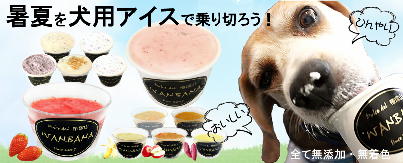 犬,アイスクリーム,シャーベット,熱中症,体温調節,無添加