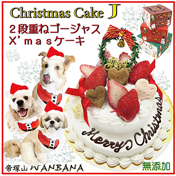 犬用のクリスマスケーキ 豪華2段 馬肉生地 E パーティー ギフト 贈り物 プレゼントにおすすめ 無添加 パピーからシニアまで ワンバナ 犬猫用ケーキおやつ帝塚山ワンバナ 通販 Yahoo ショッピング