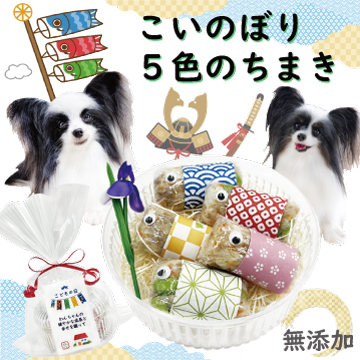 こどもの日 5月5日 端午の節句 鯉のぼり こいのぼり ちらし寿司 お寿司 男の子 オス メンズ 犬 わんちゃん ケーキ ごちそう あられ かしわ餅 豪華 無添加 国産 子ども 子供 ちまき かしわ餅 柏餅 草餅 かつお 鰹