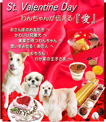 犬,わんちゃん,バレンタイン,2023,2月,配る,スイーツ,チョコ,美味しい,人気,映え,ペット,ギフト,贈り物,プレゼント,ワンバナ