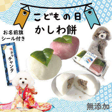 こどもの日 5月5日 端午の節句 鯉のぼり こいのぼり ちらし寿司 お寿司 男の子