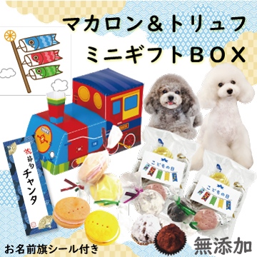 こどもの日 5月5日 端午の節句 鯉のぼり こいのぼり ちらし寿司 お寿司 男の子 オス メンズ 犬