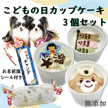 こどもの日 5月5日 端午の節句 成長 お祝い パーティー 和菓子 人気 インスタ映え 馬肉 成長