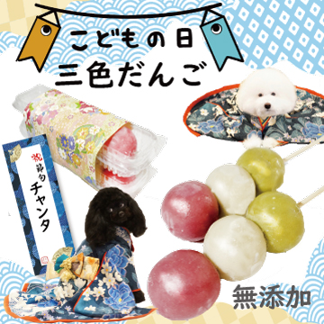 こどもの日 5月5日 端午の節句 鯉のぼり こいのぼり ちらし寿司 お寿司 男の子 オス メンズ 犬 わんちゃん ケーキ ごちそう あられ 