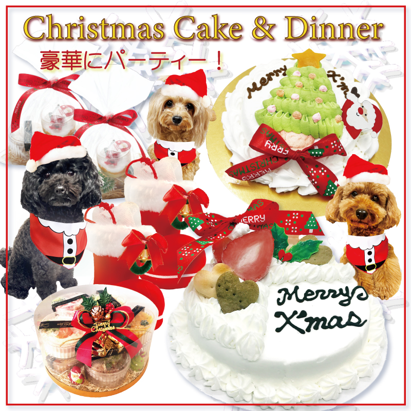 犬用猫用クリスマスケーキ＆ギフト特集