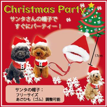 犬用 クリスマスディナーギフトF お肉セット/Xmasカップケーキと手作り