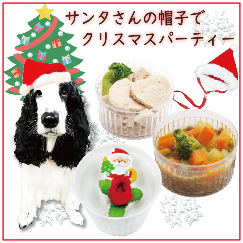 犬 ペット ドッグ ケーキ クリスマス Xmas  肉 低カロリー ダイエット お祝い イベント ギフトごはん フード 12月 冷凍 送料 通販 yahoo ワンバナ 