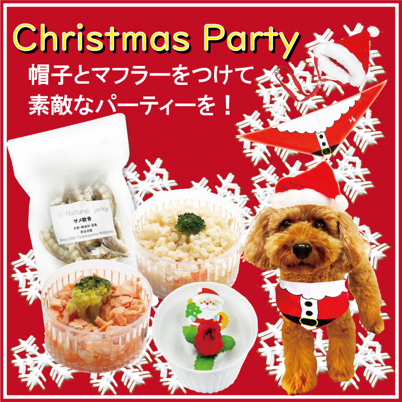 犬 ペット ドッグ ケーキ クリスマス Xmas  魚 低カロリー ダイエット お祝い イベント ギフトごはん フード 12月 冷凍 送料 通販 yahoo ワンバナ 