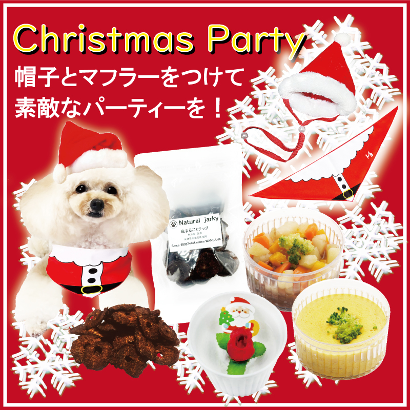 犬 ペット ドッグ ケーキ クリスマス Xmas  肉 馬肉 鹿肉 野菜  低カロリー ダイエット お祝い イベント ギフトごはん フード 12月 冷凍 送料 通販 yahoo ワンバナ 