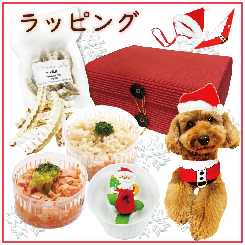 犬 ペット ドッグ ケーキ クリスマス Xmas  魚 低カロリー ダイエット お祝い イベント ギフトごはん フード 12月 冷凍 送料 通販 yahoo ワンバナ 