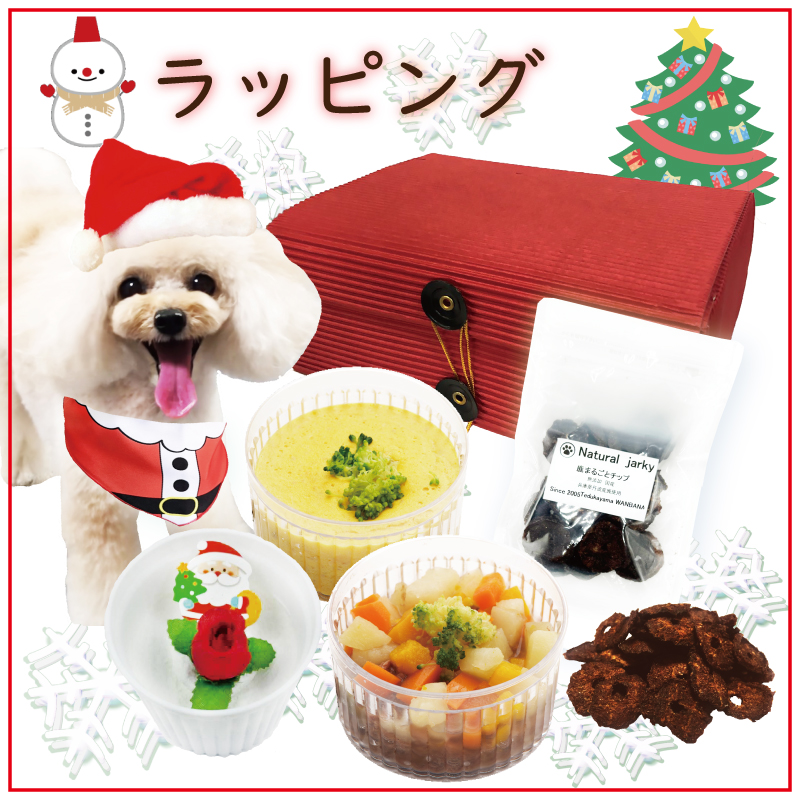 犬 ペット ドッグ ケーキ クリスマス Xmas  肉 馬肉 鹿肉 野菜  低カロリー ダイエット お祝い イベント ギフトごはん フード 12月 冷凍 送料 通販 yahoo ワンバナ 