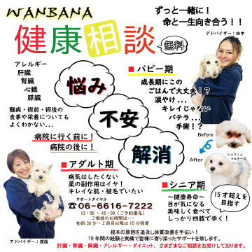 犬,おやつ,ごはん，エサ，フード,無添加,ディナー，トッピング，ゼリー，国産,手作り,ウェット,フード,ダイエット,低カロリー,アレルギー