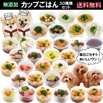 帝塚山WANBANA 犬用のごはん デリカテッセン 30種類セット 手作り