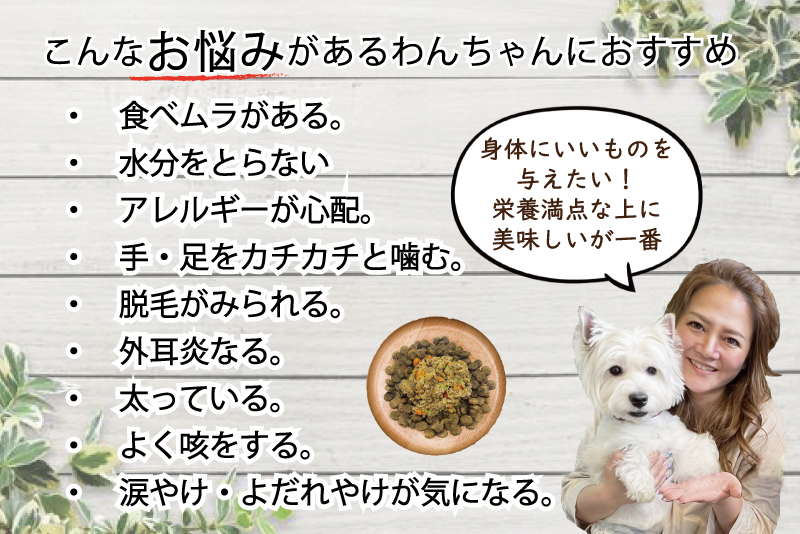 健康寿命,長生きの秘訣,トッピング,データー,調査結果,手作り食,老犬,シニア,若返り,病気知らず,未病,病気知らず,ワンバナ